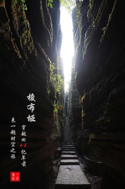 妙鸭相机app下载官网