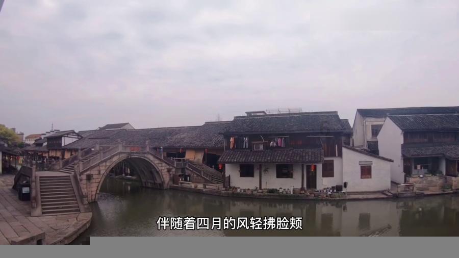 动物帮帮忙保卫家园